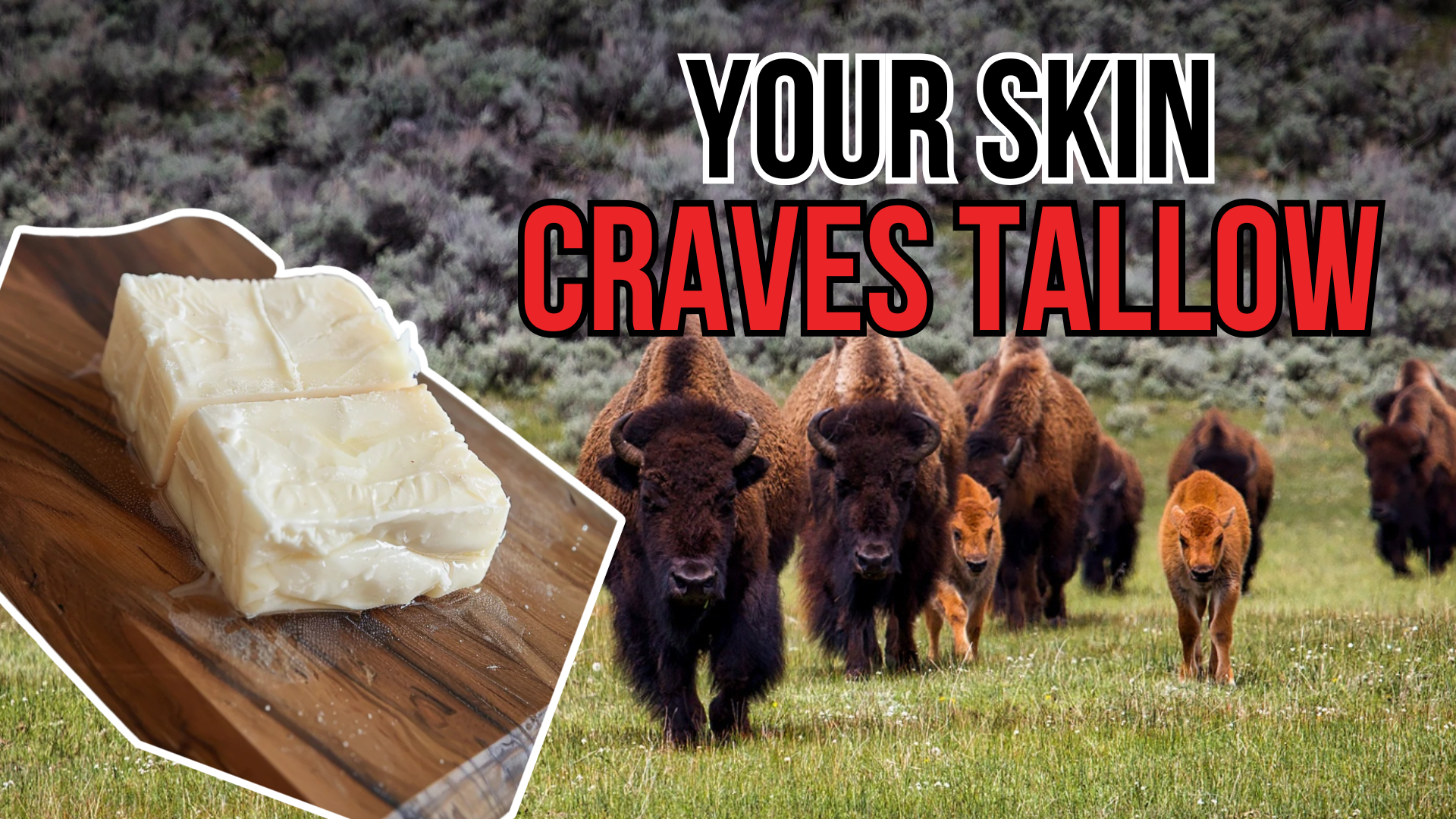 What Are The Benefits of Grass Fed Tallow Balm?