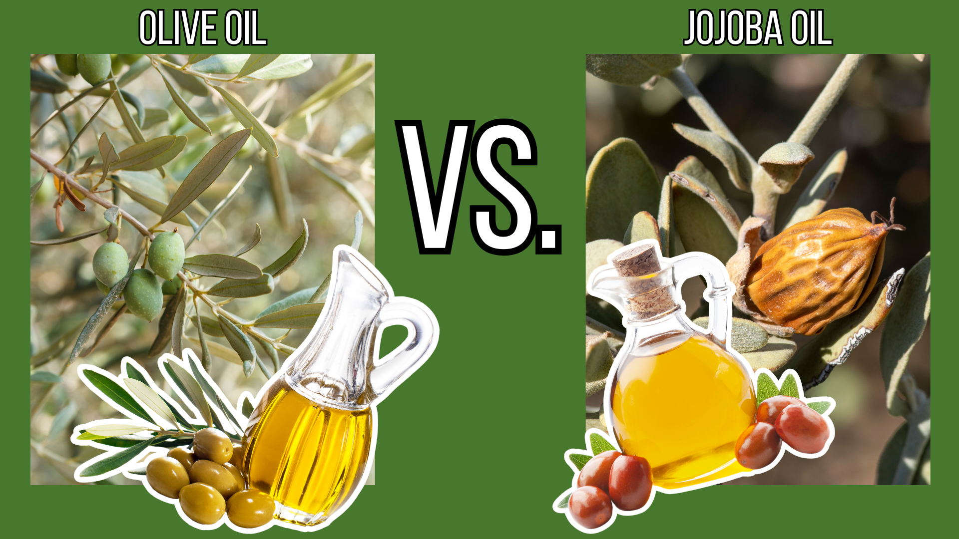 Jojoba Oil vs. Olive Oil for Skin: Which Is Better?