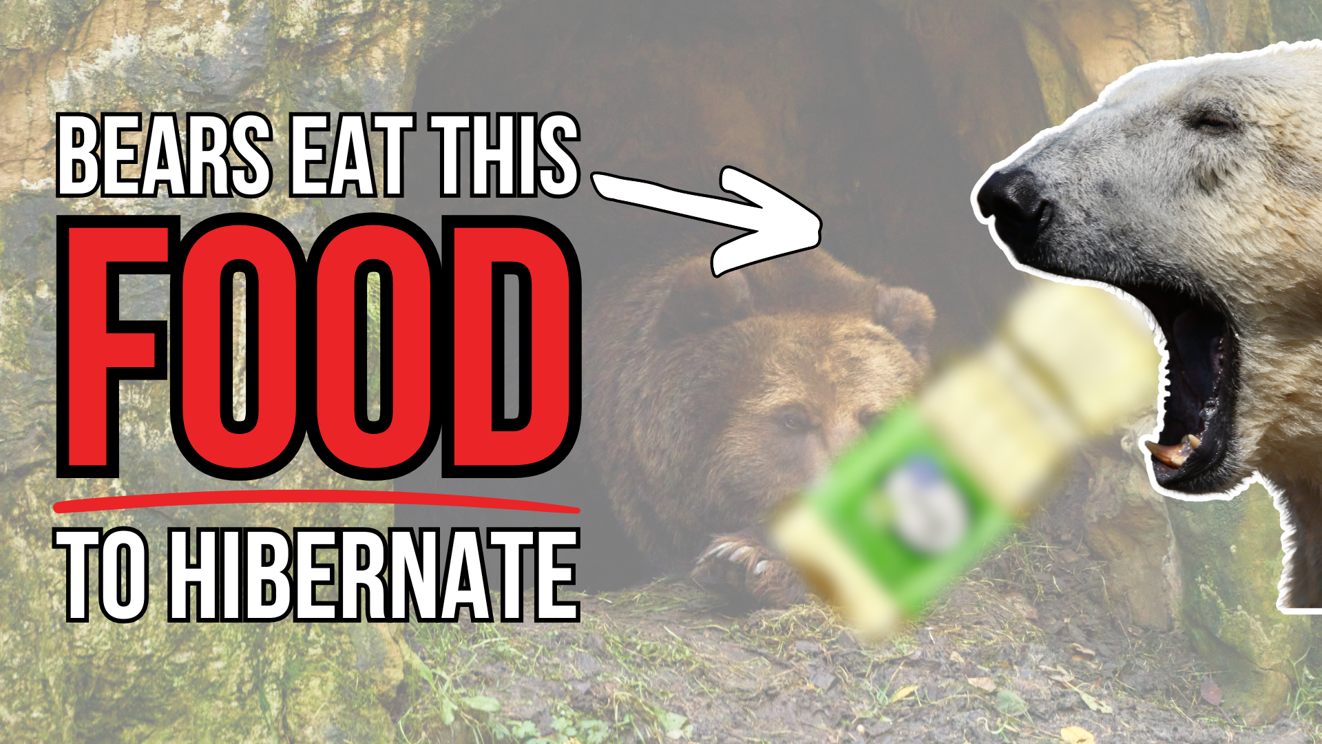This food makes your metabolism go into hibernation...